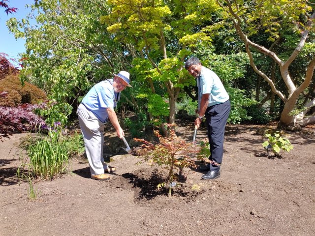 Deputy Mayor of Oadby & Wigston Councillor Jeffrey Kaufman and President and Vice-Chancellor of the University of Leicester Professor Nishan Canagarajah planting the centenary tree in the University of Leicester Botanic Garden.