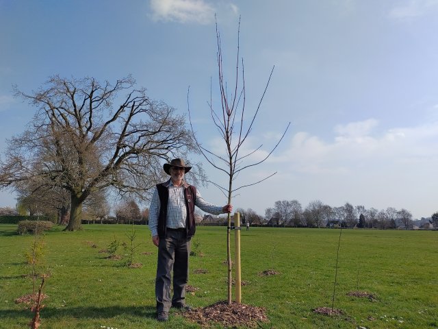Cllr David Carter next to a tree in Uplands Park, Oadby.