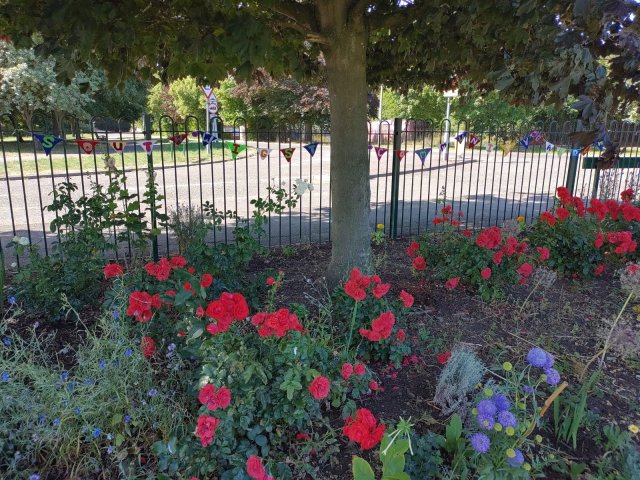 Flowers on display at South Wigston Community Garden
