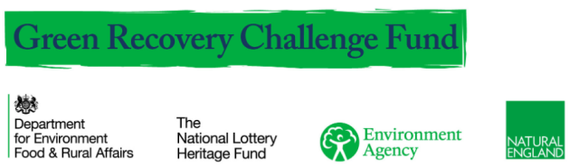 Green Recovery challenge logos