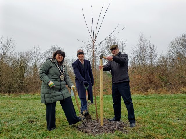 Japanese tree planting at Brocks Hill. Pictured Mayor Lily Kaufman, MP Neil O'Brien and Cllr David Carter